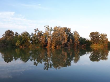 Valorizzazione dell'ecosistema del Parco Laghetti